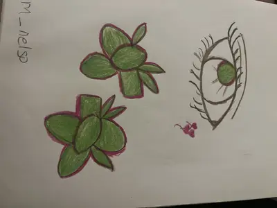 Earrings & Eye — original hand-drawn pencil and ink sketch by Wrapped Crown 2016